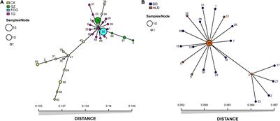 The Role of Genetic Factors in the Differential Invasion Success of Two Spartina Species in China